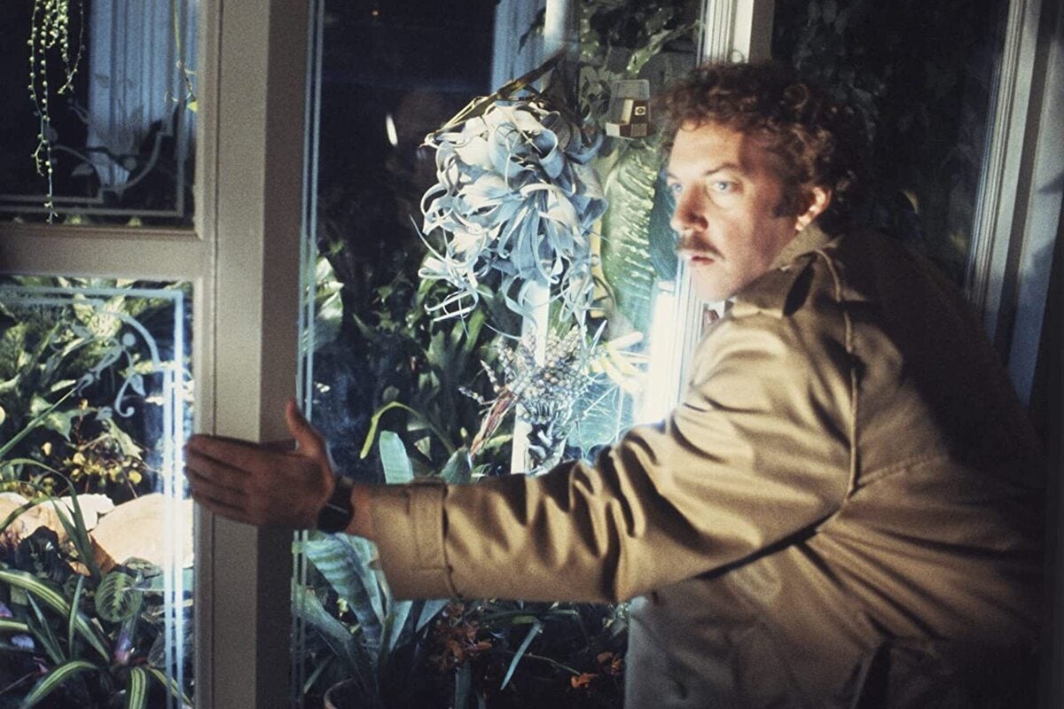 Les 30 meilleurs films d'horreur que vous pouvez diffuser gratuitement cet Halloween