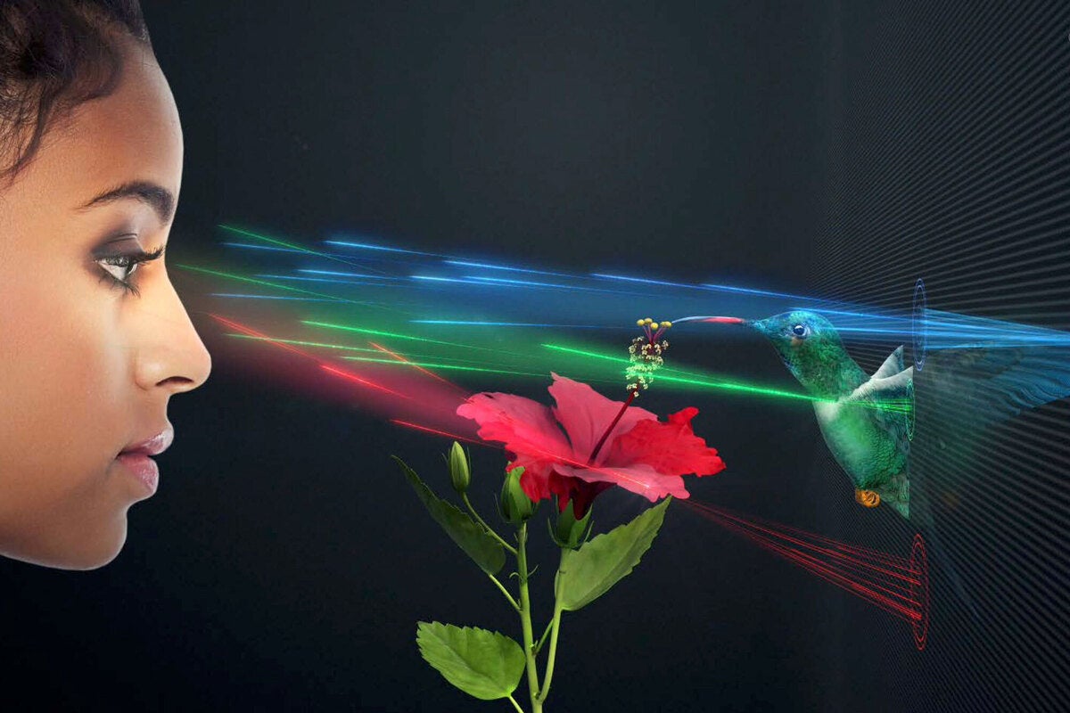 SolidLight von Light Field Lab bietet eine echte holografische Videoanzeige