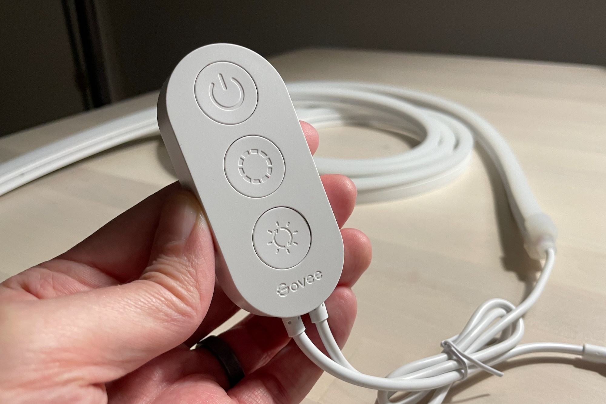 Govee RGBIC LED Neon Rope Light review: robusto, flexível e divertido